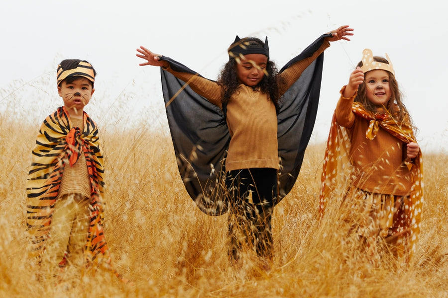 Silk Dress Ups