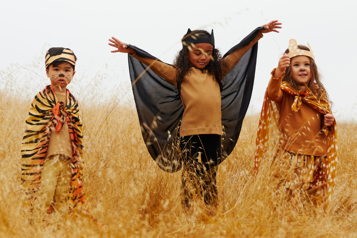 Sarah's Silks Dress Ups Collection - Online, Australia
