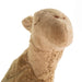 SENGER Cuddly Animal - Camel Small w removable Heat/Cool Pack, Australia