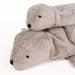 SENGER Cuddly Animal - Seal Large Grey Vegan w removable Heat/Cool Pack, Australia