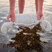 SENGER Cuddly Animal - Small - Cuddly Animal Crab - Linen - Removable Heat/Cool Pack Natural Organic Soft Toys - Online, Australia