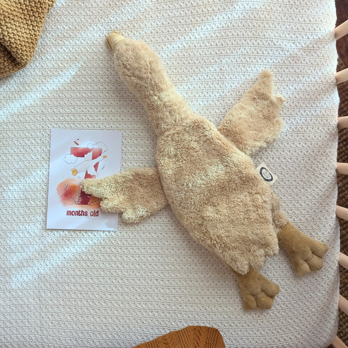 SENGER Cuddly Animal - Small Goose - Linen - Removable Heat/Cool Pack - Natural Organic Soft Toy - Online, Australia