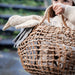SENGER Cuddly Animal - Small Goose - Linen - Removable Heat/Cool Pack - Natural Organic Soft Toy - Online, Australia