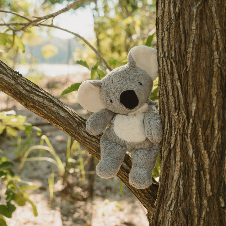 SENGER Cuddly Animal - Koala - Australian Exclusive - Removable Heat/Cool Pack - Online, Australia