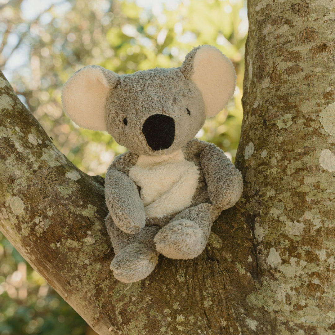 SENGER Cuddly Animal - Koala - Australian Exclusive - Removable Heat/Cool Pack - Online, Australia