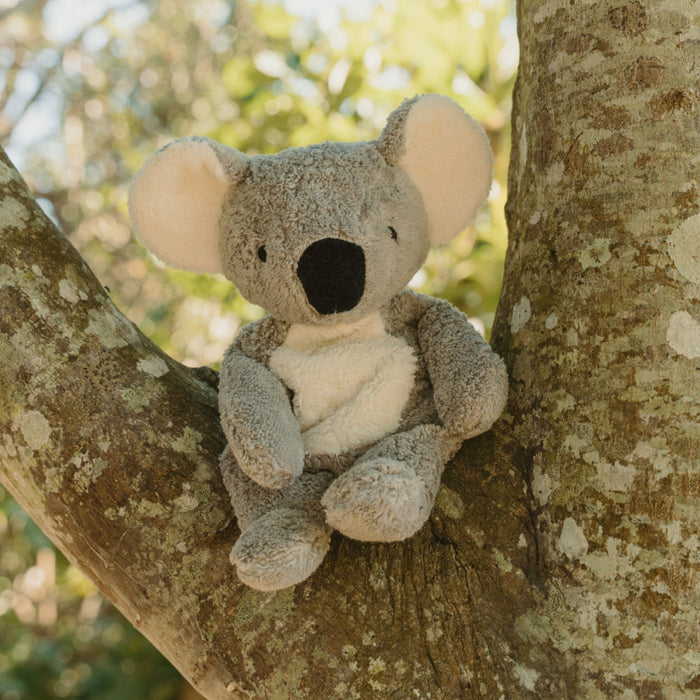 SENGER Cuddly Animal - Koala - Australian Exclusive - Removable Heat/Cool Pack - Online, Australia