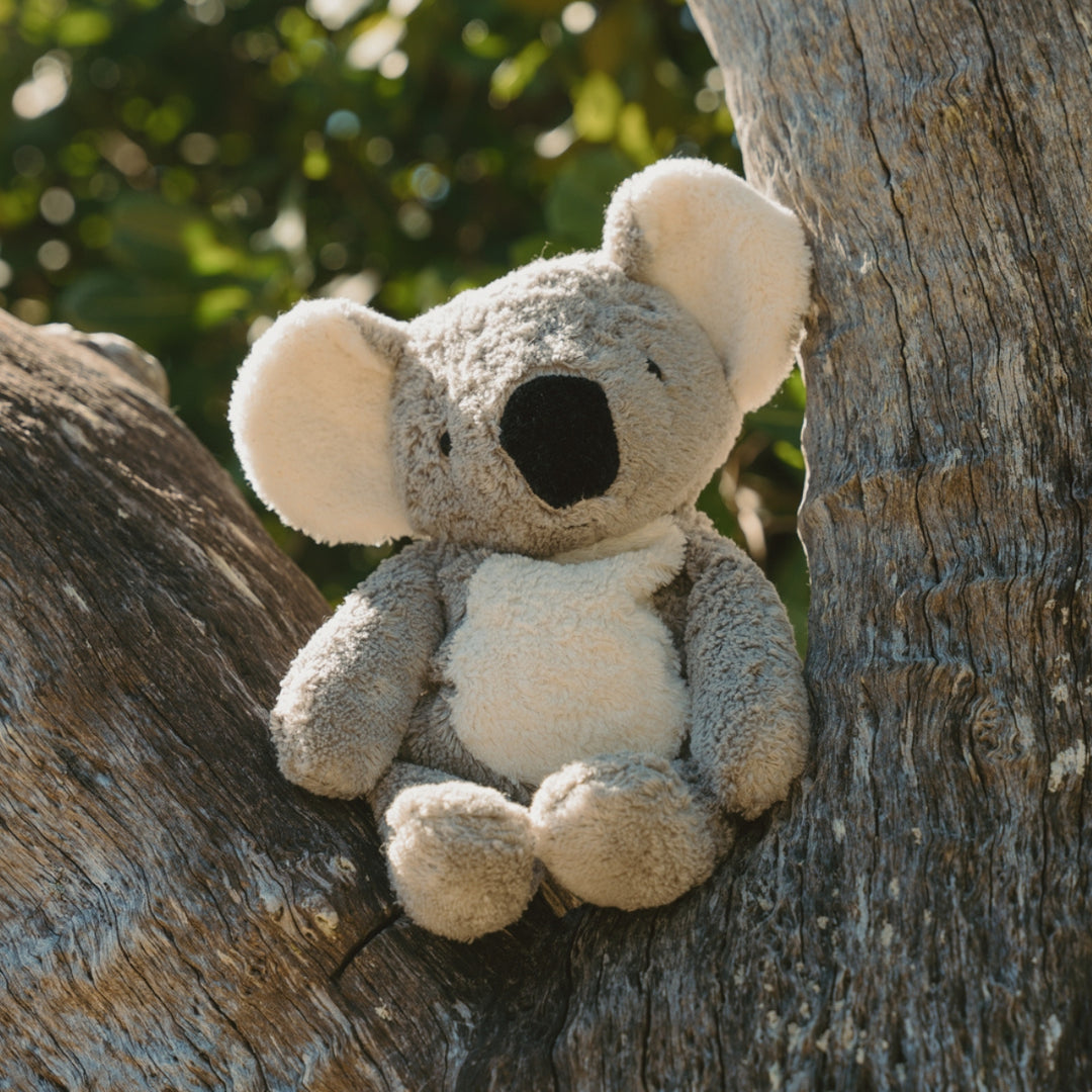 SENGER Cuddly Animal - Koala - Australian Exclusive - Removable Heat/Cool Pack - Online, Australia