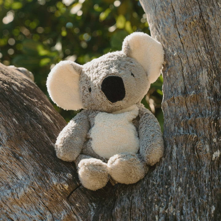 SENGER Cuddly Animal - Koala - Australian Exclusive - Removable Heat/Cool Pack - Online, Australia