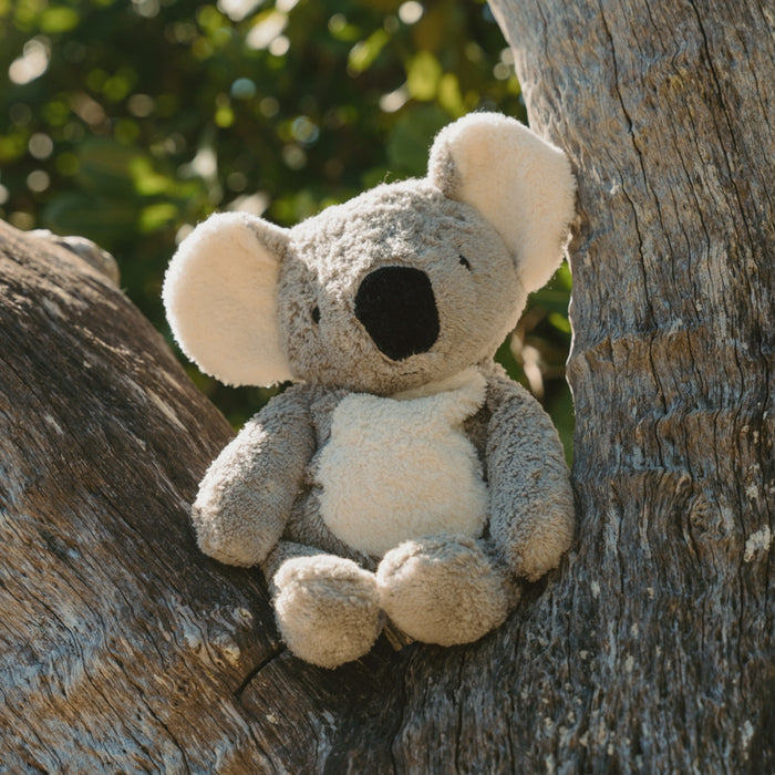 SENGER Cuddly Animal - Koala - Australian Exclusive - Removable Heat/Cool Pack - Online, Australia