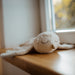 SENGER Cuddly Animal - Small - Snowy Owl - Removable Heat/Cool Pack Natural Organic Soft Toys - Online, Australia