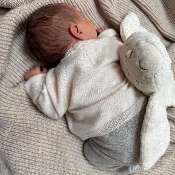 SENGER Cuddly Animal - Small - Snowy Owl - Removable Heat/Cool Pack Natural Organic Soft Toys - Online, Australia