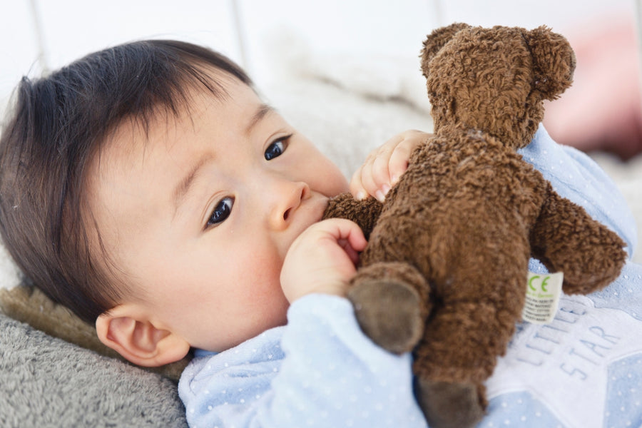 SENGER Animal Babies