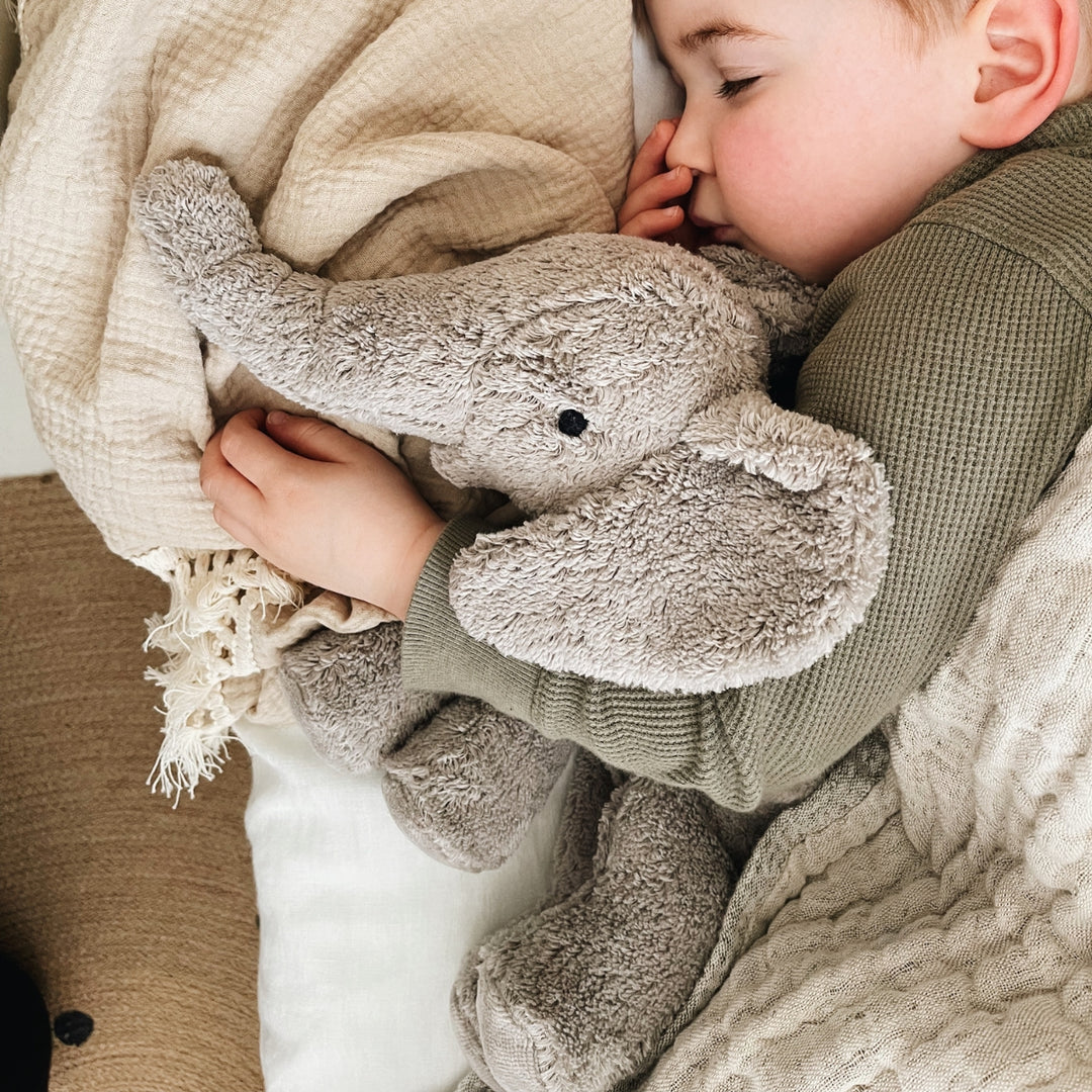 SENGER Cuddly Animals Collection - Online, Australia
