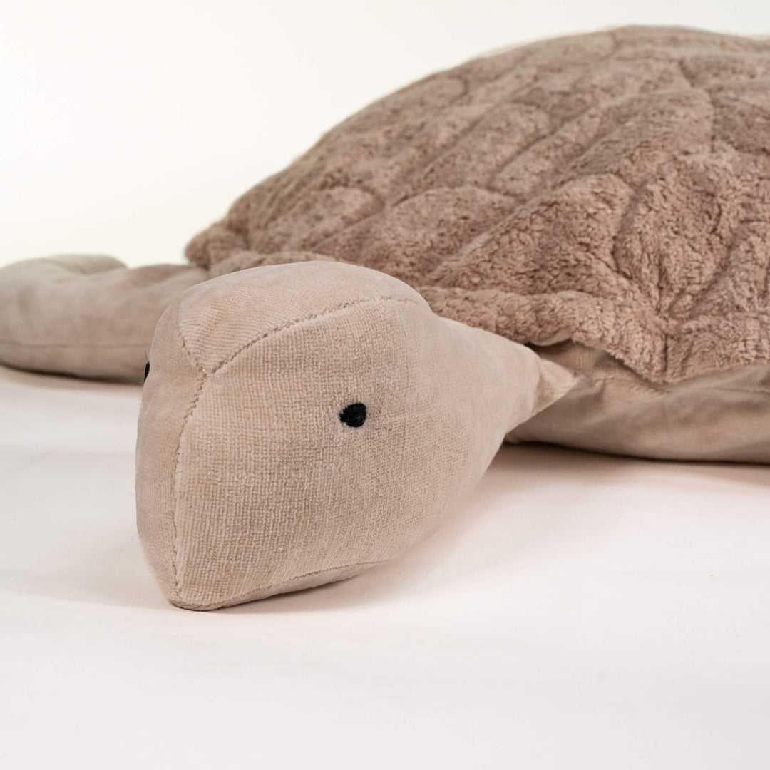 SENGER Turtle XXL Giant Sand, Australia