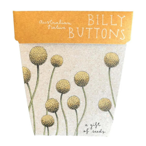 GOS-BILNAT-WS Sow 'n Sow Gift of Seeds - Billy Buttons