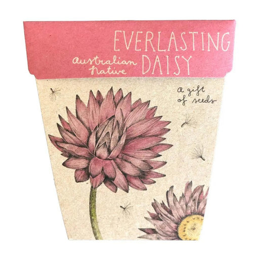 GOS-DAIS-WS Sow 'n Sow Gift of Seeds - Everlasting Daisy