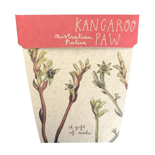 GOS-KANG-WS Sow 'n Sow Gift of Seeds - Kangaroo Paw