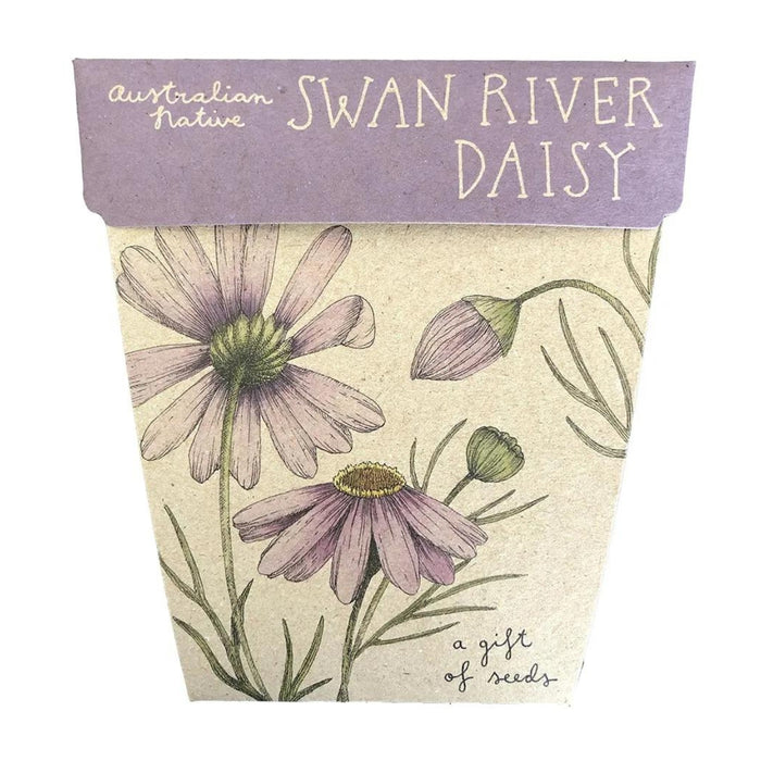 GOS-SWAN-WS Sow 'n Sow Gift of Seeds - Swan River Daisy