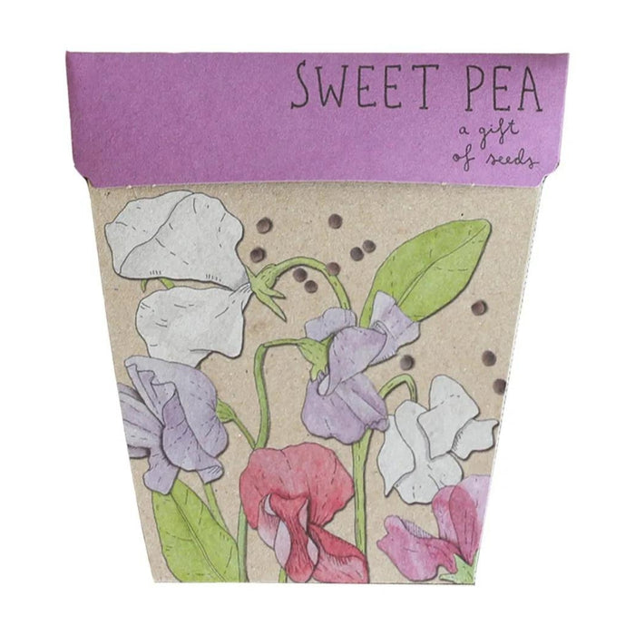 GOS-PEA-WS Sow 'n Sow Gift of Seeds - Sweet Pea