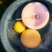 Stapelstein® EASTER PROMO Water Play Set - Grow XL Pond + Inside Sea Rose, Australia