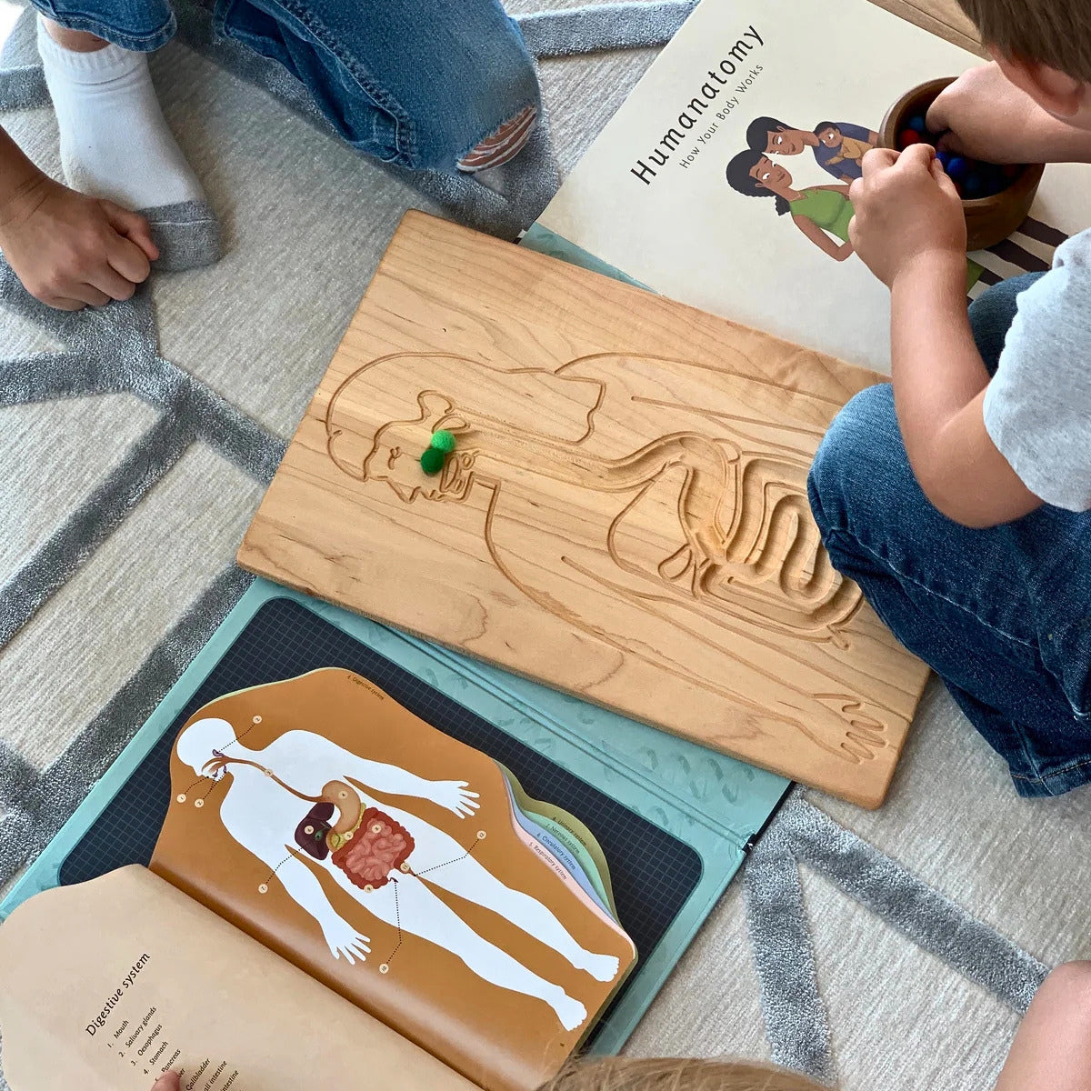 STEM Through Play Collection - Online, Australia