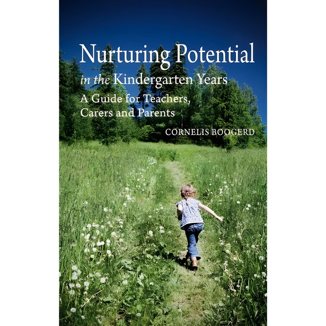 The Power of Stories Nurturing Children's Imagination and Consciousness - Book, Australia