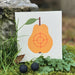 VAH Trio Target for Suction Arrows - Fruit - Wooden Toy - Online, Australia