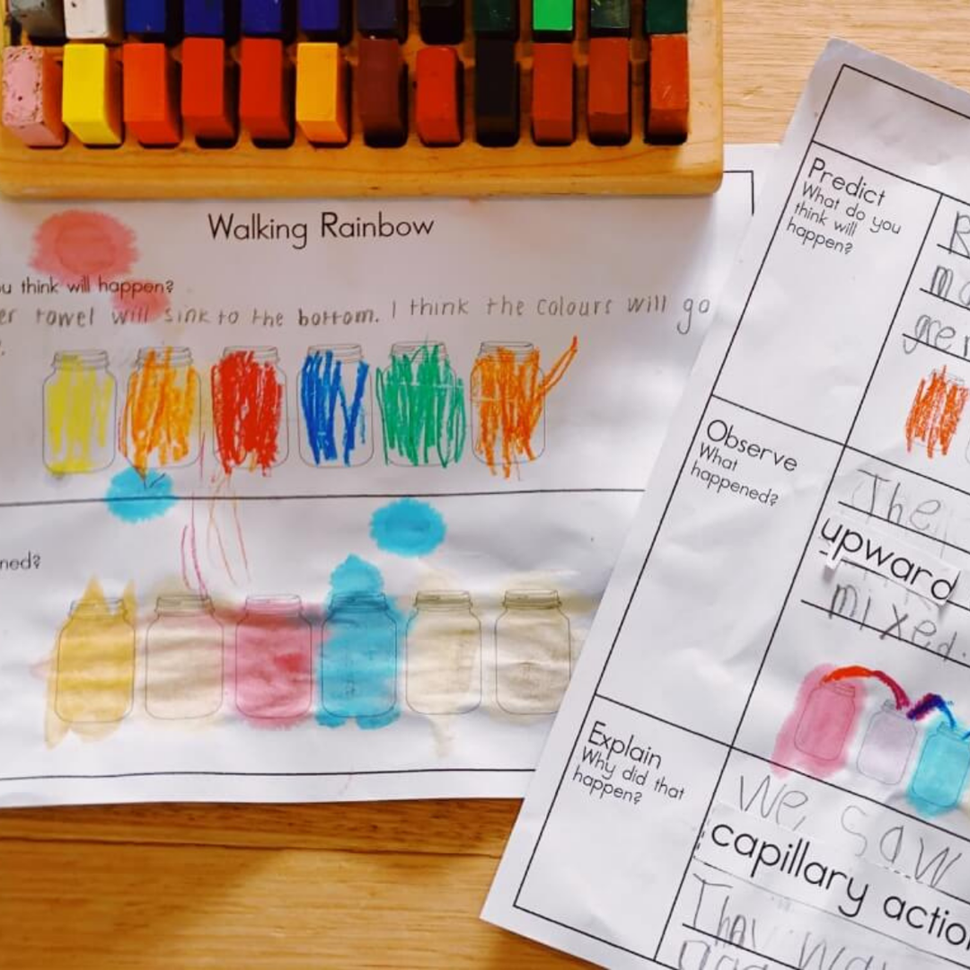 Stockmar Aquarelle Watercolours used in walking rainbow experiment for kids