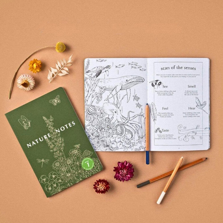 Your Wild Books Nature Notes 1 in Green - Online, Australia
