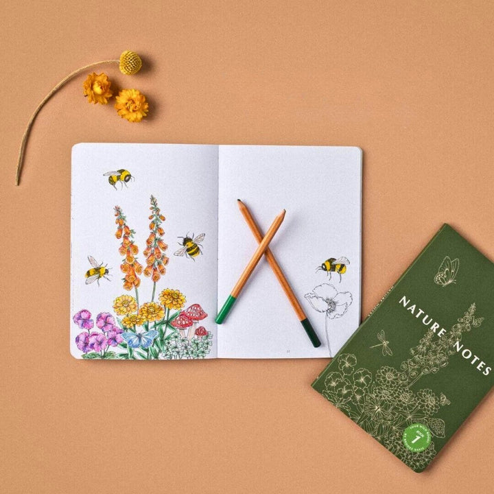 Your Wild Books Nature Notes 1 in Green - Online, Australia