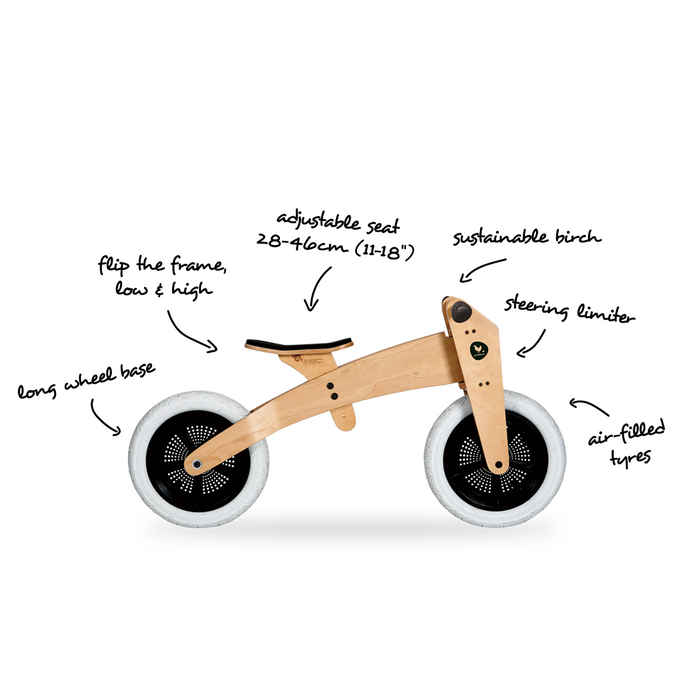 Wishbone outlet flip bike