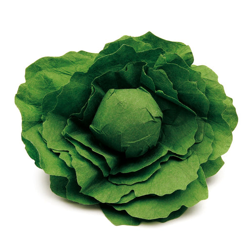 12280 Erzi Lettuce