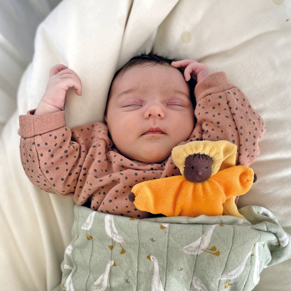 GR-22041 Grimm's Doll Lavender Sun