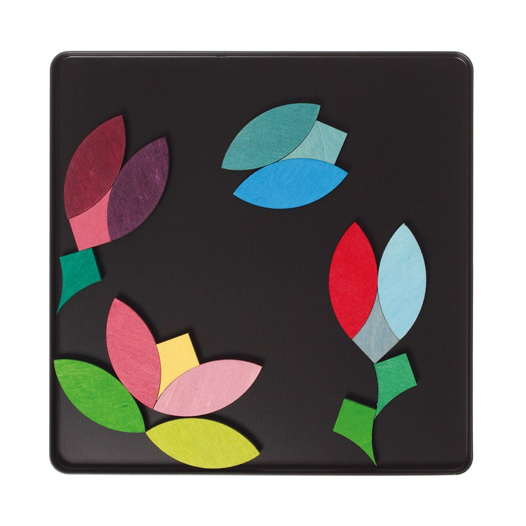 91165 Grimm's Magnet Puzzle Circles