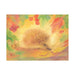 95254426 Postcards - Hedgehog 5 pk