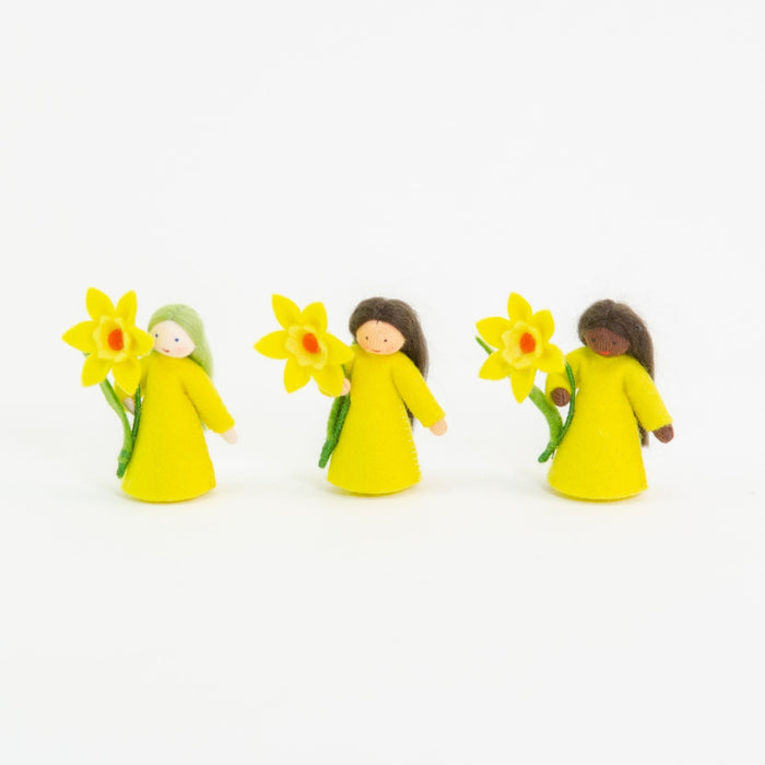 Ambrosius Flower Fairy Daffodil (2021)