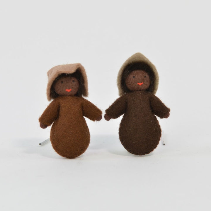 Ambrosius Two Seedling Babies Fair Dark
