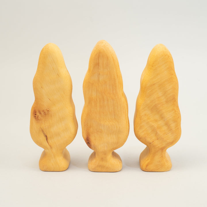 BK-5714 Bikeho Tree Poplar Small