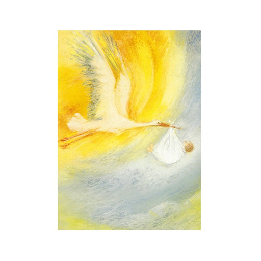 95254600 Cards with Envelopes - Stork Carrying Baby 5 pk