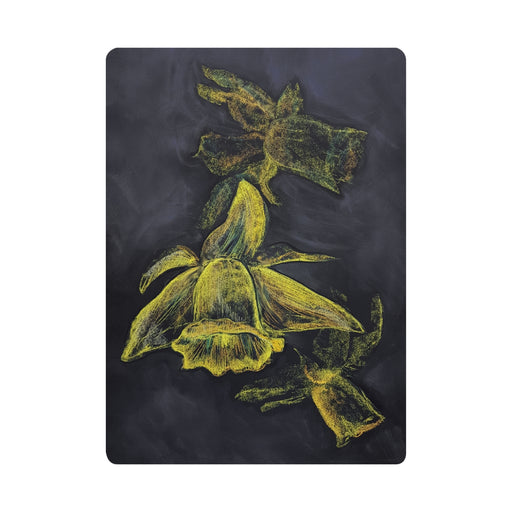 95502001 Chalkboard Art Cards - Daffodil, 5 pk
