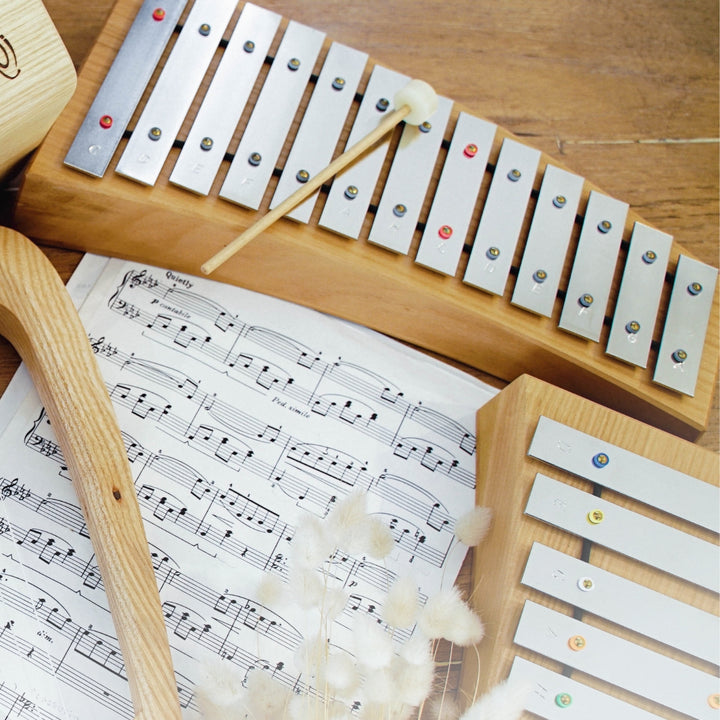55162810 Choroi Glockenspiel Diatonic Diaronne