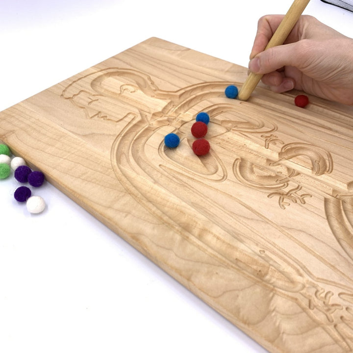 TFJ-6228 From Jennifer Reversible Circulatory and Digestive Board