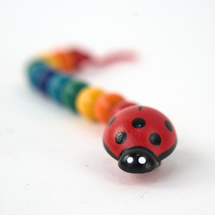 NI-520080 Gluckskafer Wooden dummy chain w ladybird clip - Rainbow