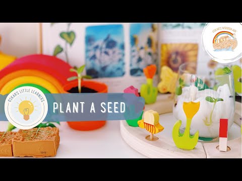 Sow 'n Sow Gift of Seeds - Happy Birthday Picnic