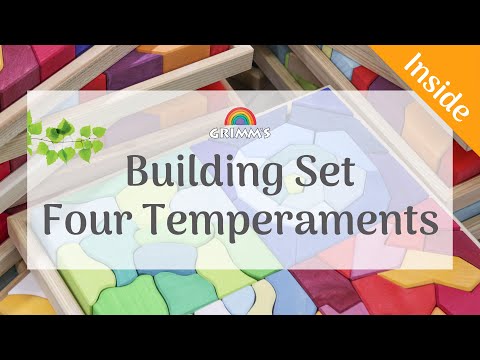 Building Set Four Temperaments (2021) - Retired Product