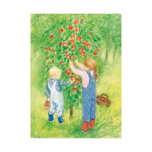 95254445 Postcards - Apple Harvest 5 pk