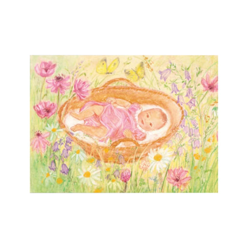 95254452 Postcards - Baby in Basket 5 pk