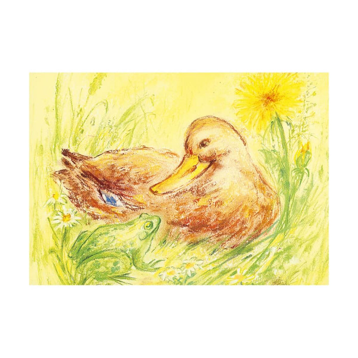 95254311 Postcards - Duck and Frog 5 pk