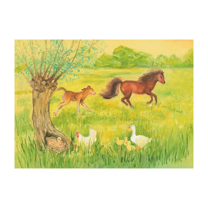 95254466 Postcards - Frisky Foal in the Meadow 5 pk