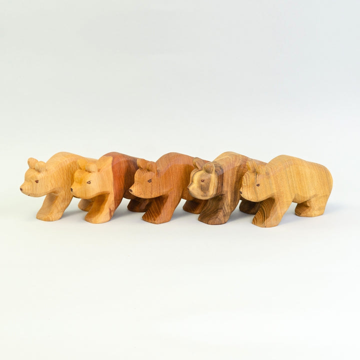 P001 Predan Bear
